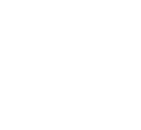 Security Fence Systems Bronx Queen NYC New York Logo